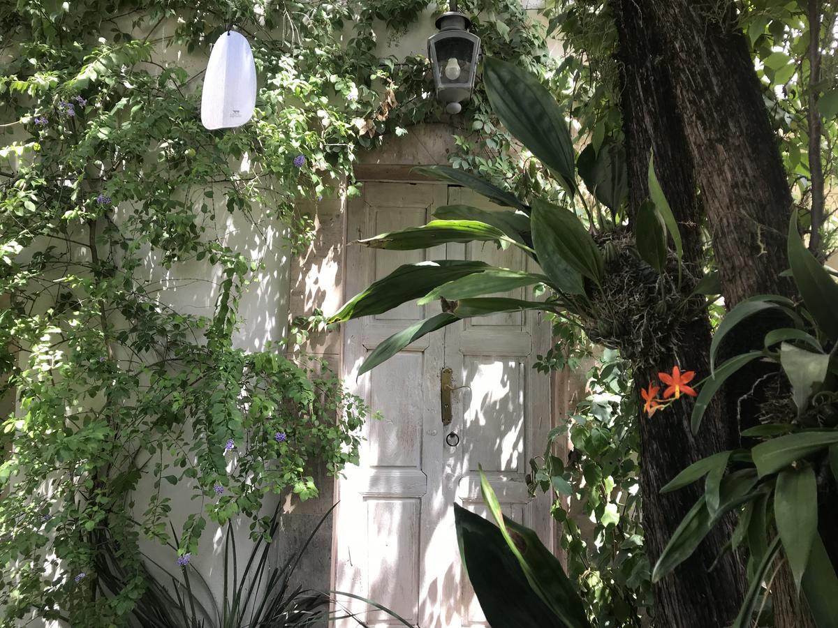 Hotel Fk San Miguel de Allende Dış mekan fotoğraf